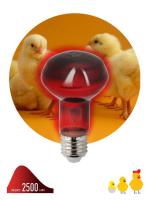 Излучатель тепловой (лампа инфракрасная) ИКЗК 230-60 R63 60Вт Е27 для обогрева животных и освещения Эра Б0057281